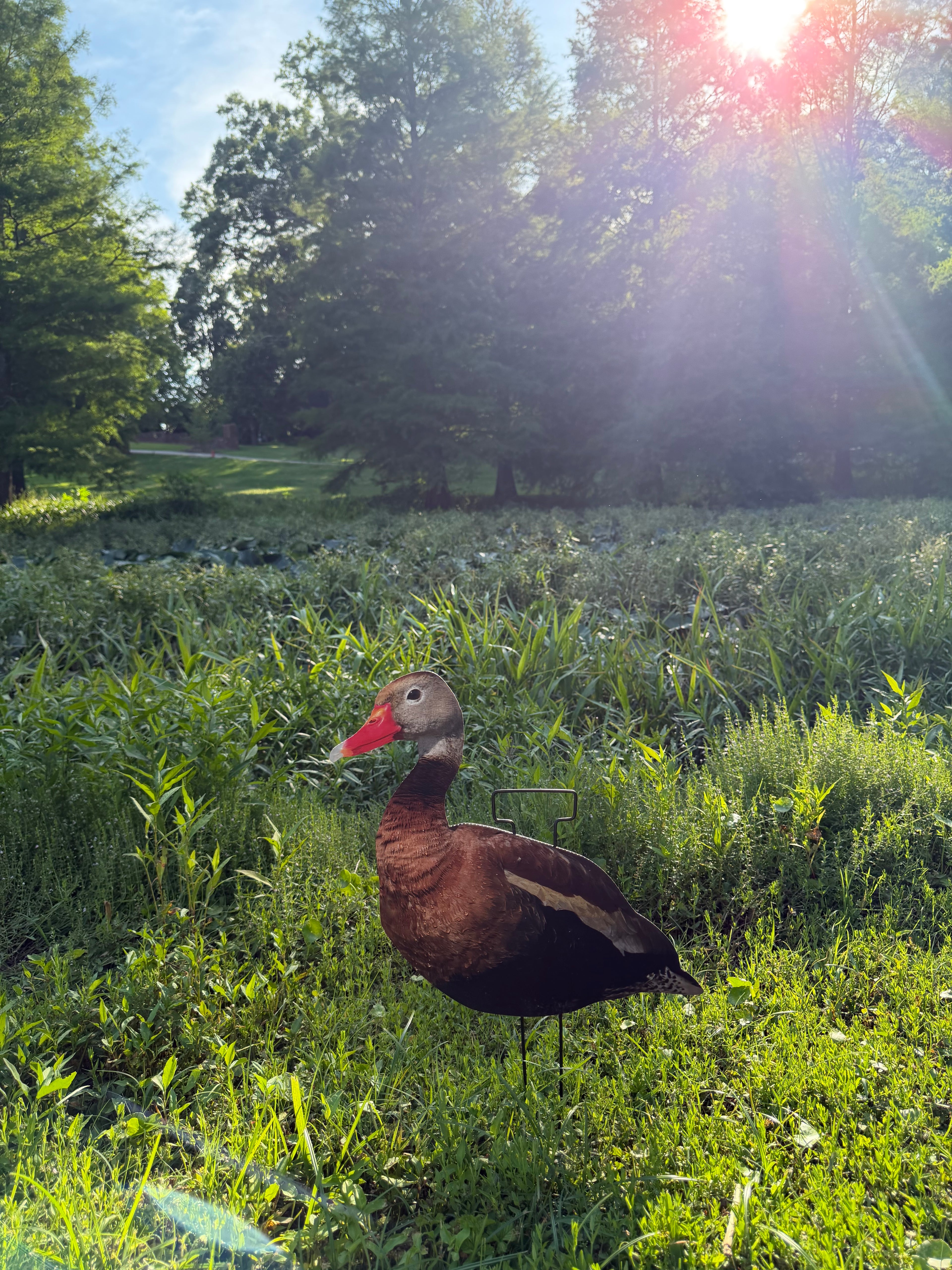 12 Black Bellied Whistling Duck Silhouette Decoys
