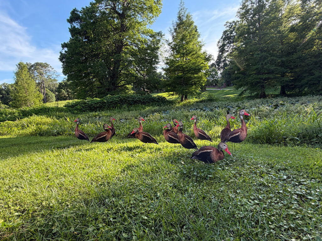 12 Black Bellied Whistling Duck Silhouette Decoys